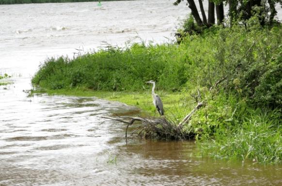 Mietwagen - Rundreise in Polen und Litauen DE